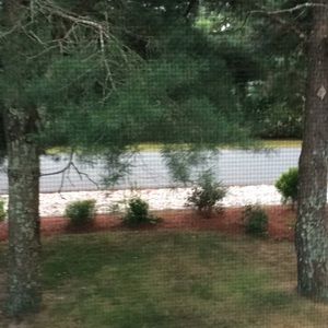 Meet your Posher, Helenka